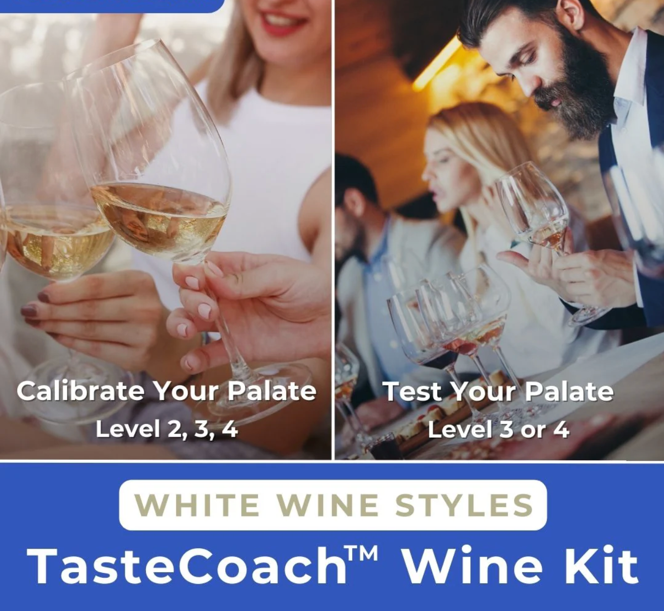 Taste Coach - White Wine